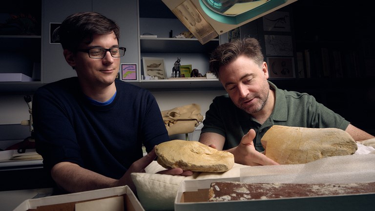 two men holding yellow coloured fossil bones in a laboratory